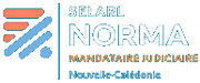 logo_norma_transparent2 SELARL NORMA
